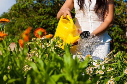 Seasonal garden care provided by Gardener Limehouse